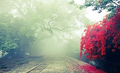 长沙雨花干尸培训有限公司